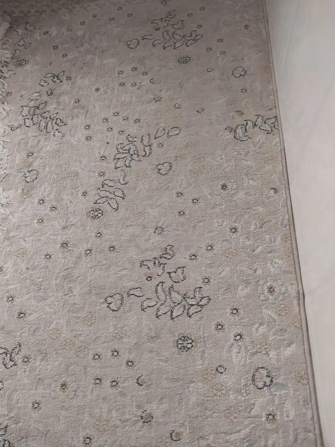 گبه|گلیم، جاجیم، گبه|آران و بیدگل, |دیوار