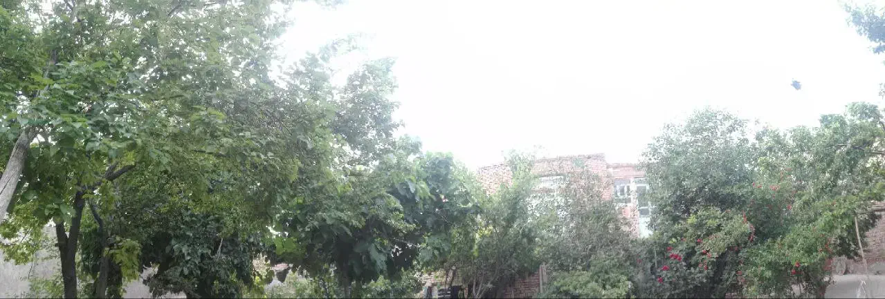 مشارکت در ساخت|مشارکت در ساخت املاک|تبریز, |دیوار