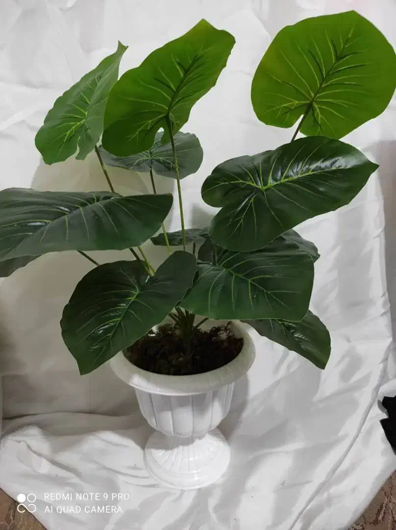 گل مصنوعی|گل مصنوعی|ملارد, |دیوار