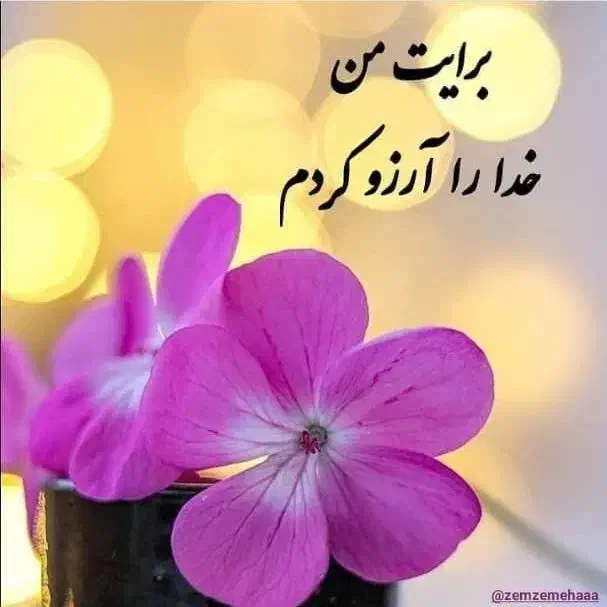استخدام نیروی با تجربه کافی نت|استخدام رایانه و فناوری اطلاعات|زاهدان, |دیوار