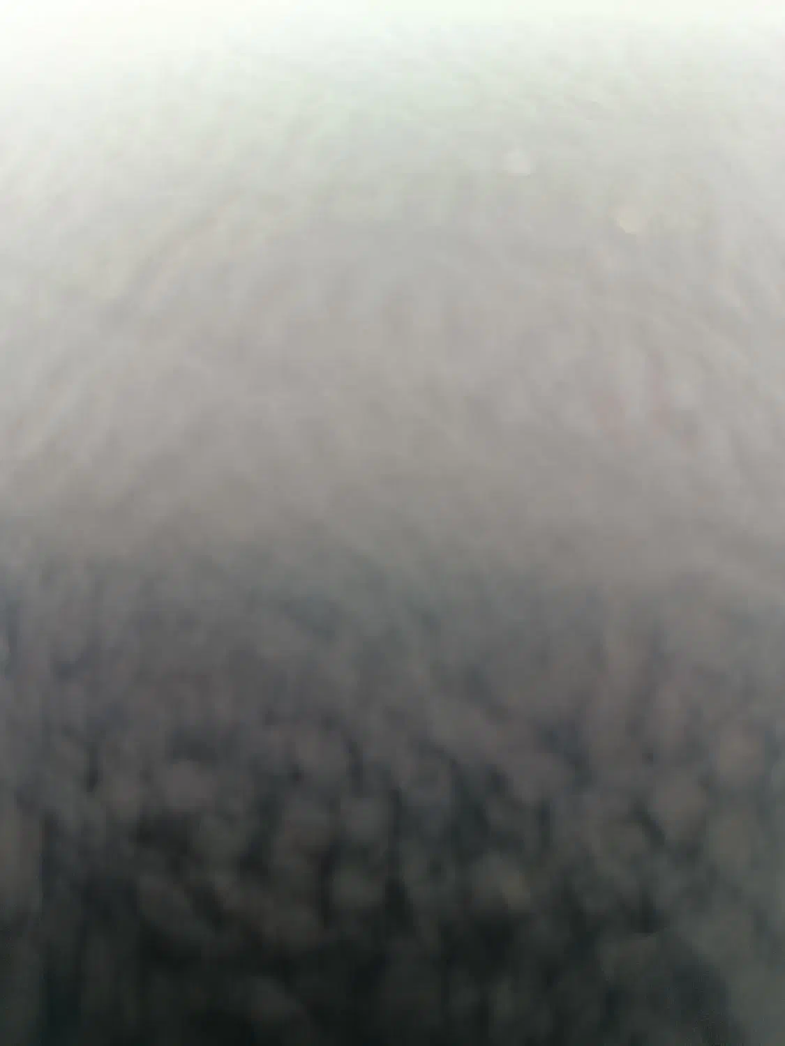 قالی|فرش|بیجار, |دیوار