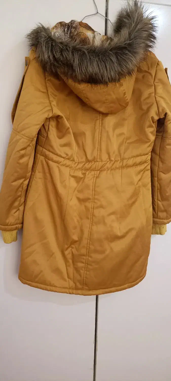 کاپشن سایز ۳۸|لباس|فولادشهر, C8|دیوار