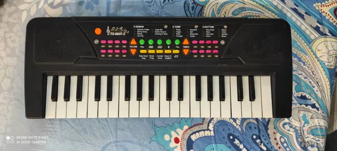 ارگ کودکان|پیانو، کیبورد، آکاردئون|اهواز, نبوت|دیوار