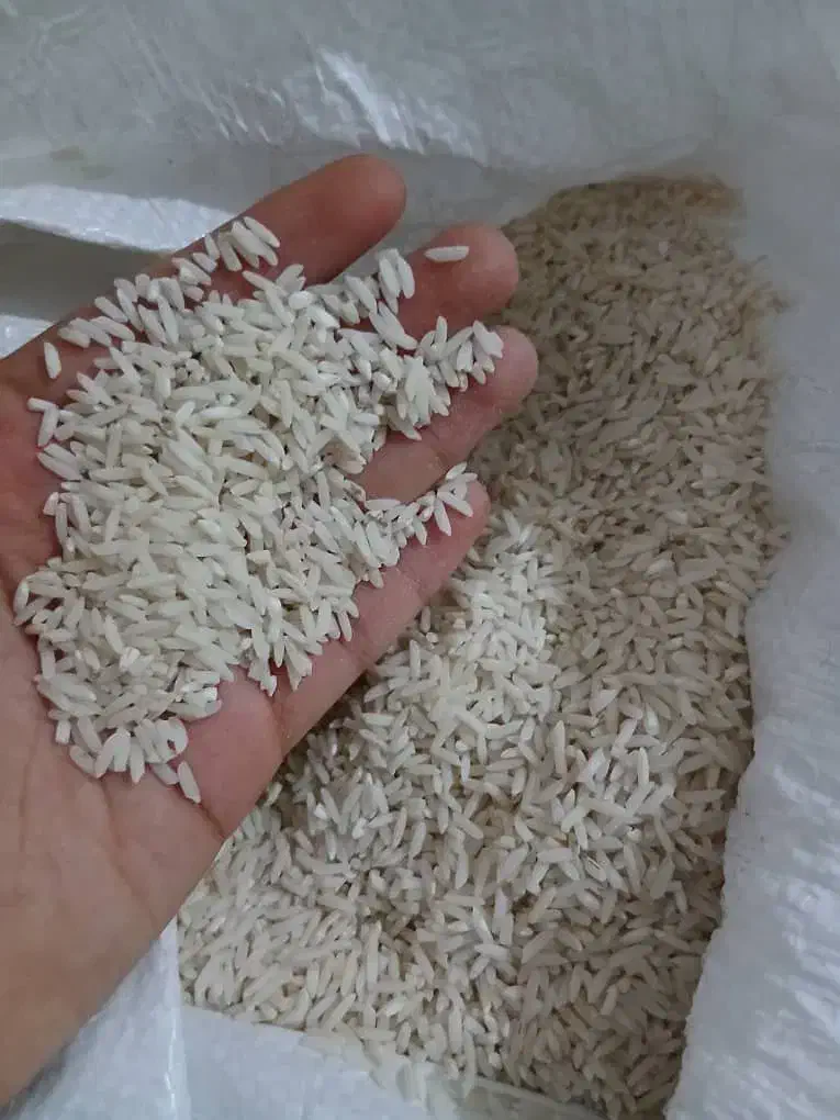 برنج طارم|خوردنی و آشامیدنی|شیبکوه (فارس), |دیوار