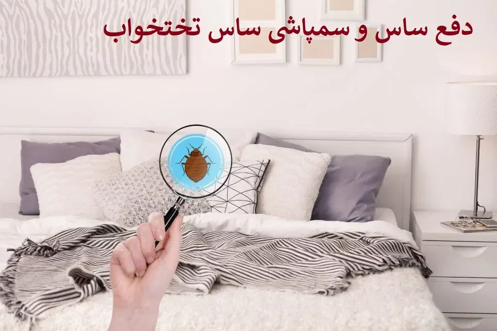 سم دفع و از بین بردن تخصصی ساس بدون سمپاشی|خدمات نظافت|تبریز, |دیوار
