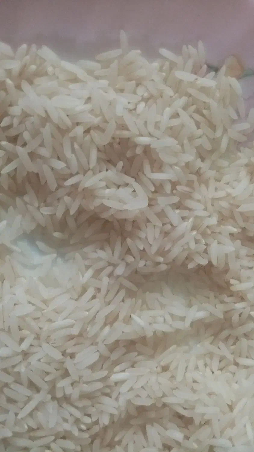 فروش 30 کیلو برنج در 3 گونی 10 کیلویی|خوردنی و آشامیدنی|رشت, آزادگان|دیوار