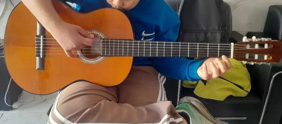 گیتار کلاسیک Haamdaad student|گیتار، بیس، امپلیفایر|تهران, جی|دیوار