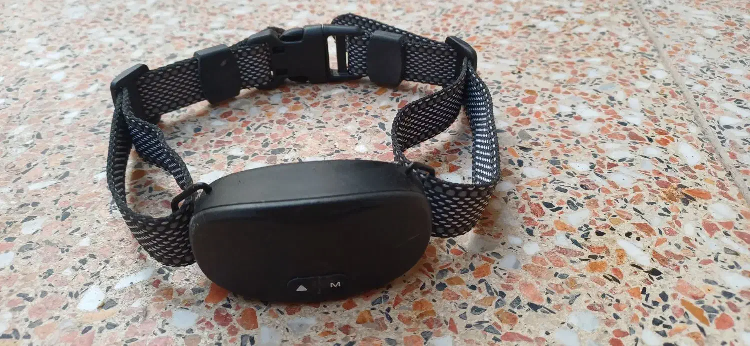 قلاده ضد واق|لوازم جانبی حیوانات|تهران, مختاری|دیوار