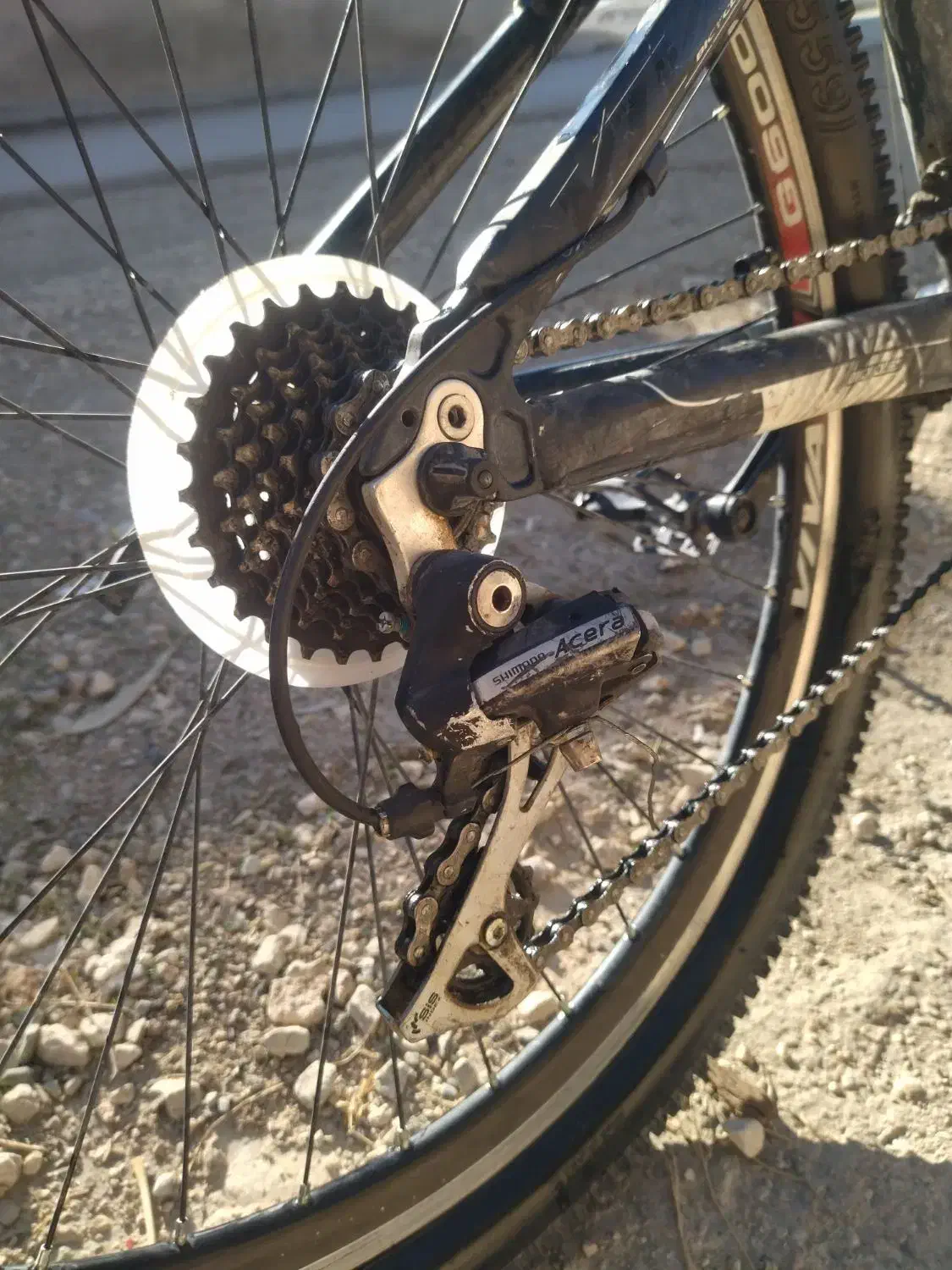 دوچرخه ویوا|دوچرخه، اسکیت، اسکوتر|سرپل ذهاب, |دیوار