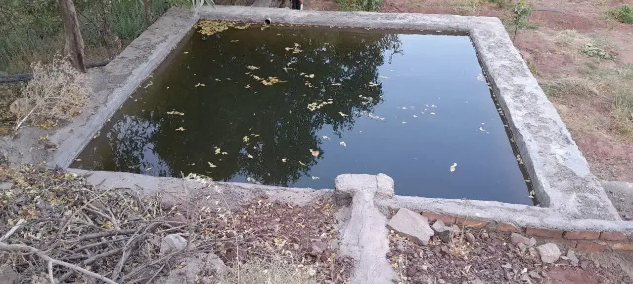 باغچه روستای وشنوه فروش یا معاوضه با تجاری|فروش دفتر صنعتی، کشاورزی، تجاری|قم, ناصردیوان|دیوار