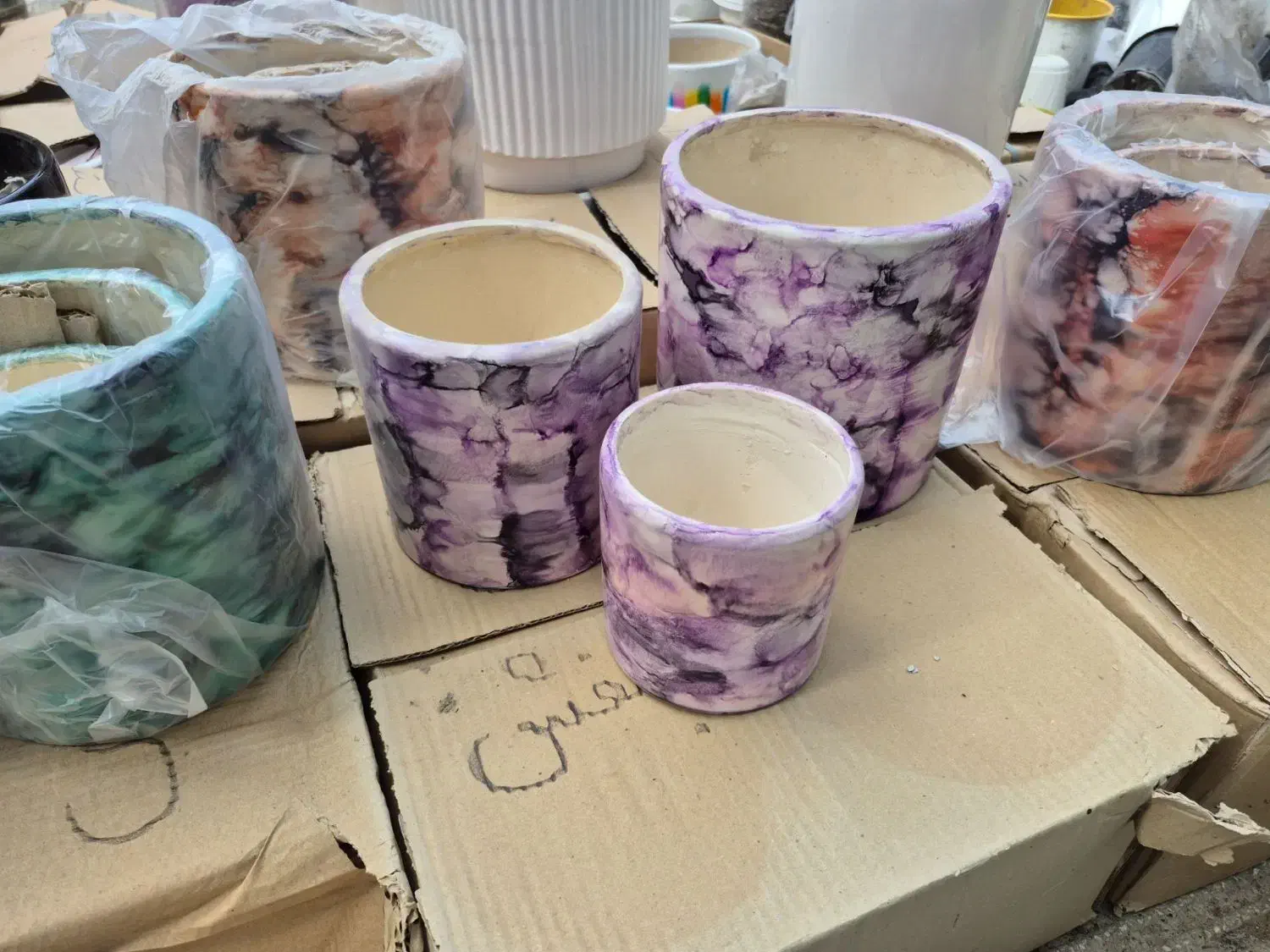 گل وگلدون|گل و گیاه طبیعی|گنبد کاووس, |دیوار