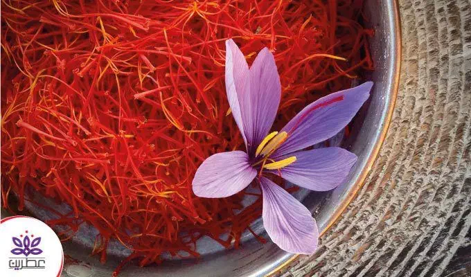 زعفران|حراج|لاهیجان, بوجایه|دیوار