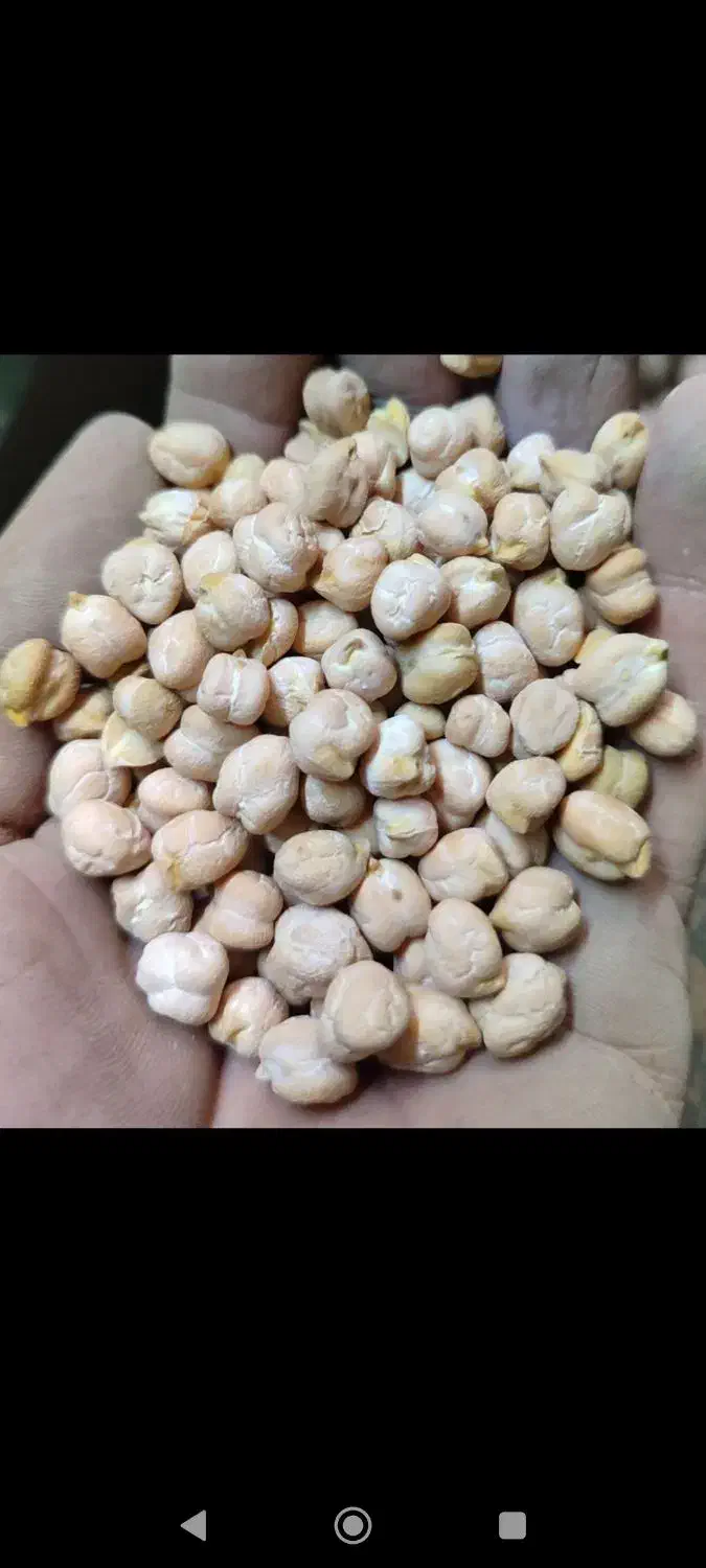 ارزان سرای ،پخش حبوبات|خوردنی و آشامیدنی|تهران, حسن‌آباد|دیوار