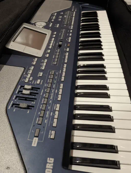 ارگ 800|پیانو، کیبورد، آکاردئون|پارسآباد, |دیوار