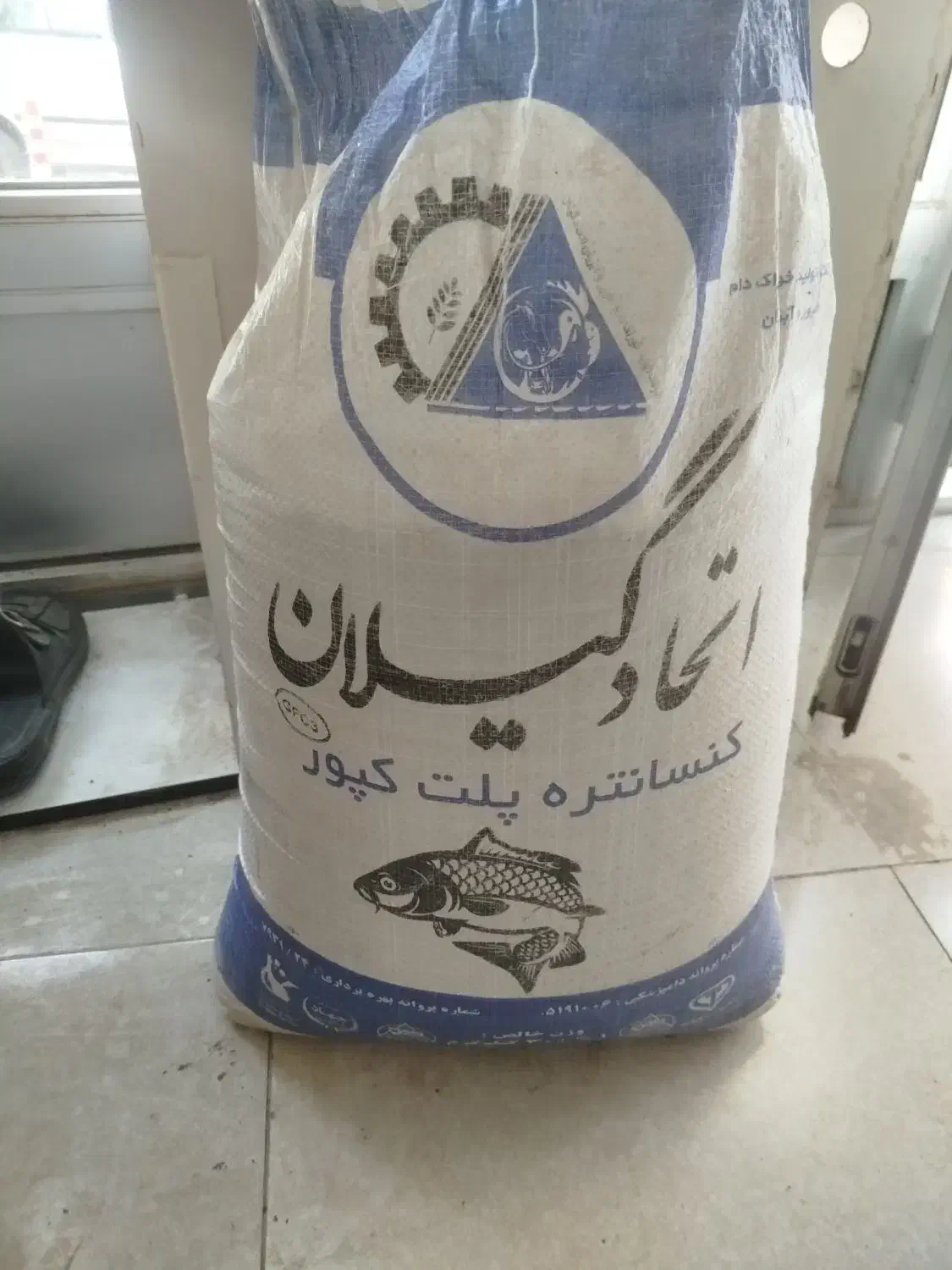 پلت ماهی|ماهی|مرند, |دیوار