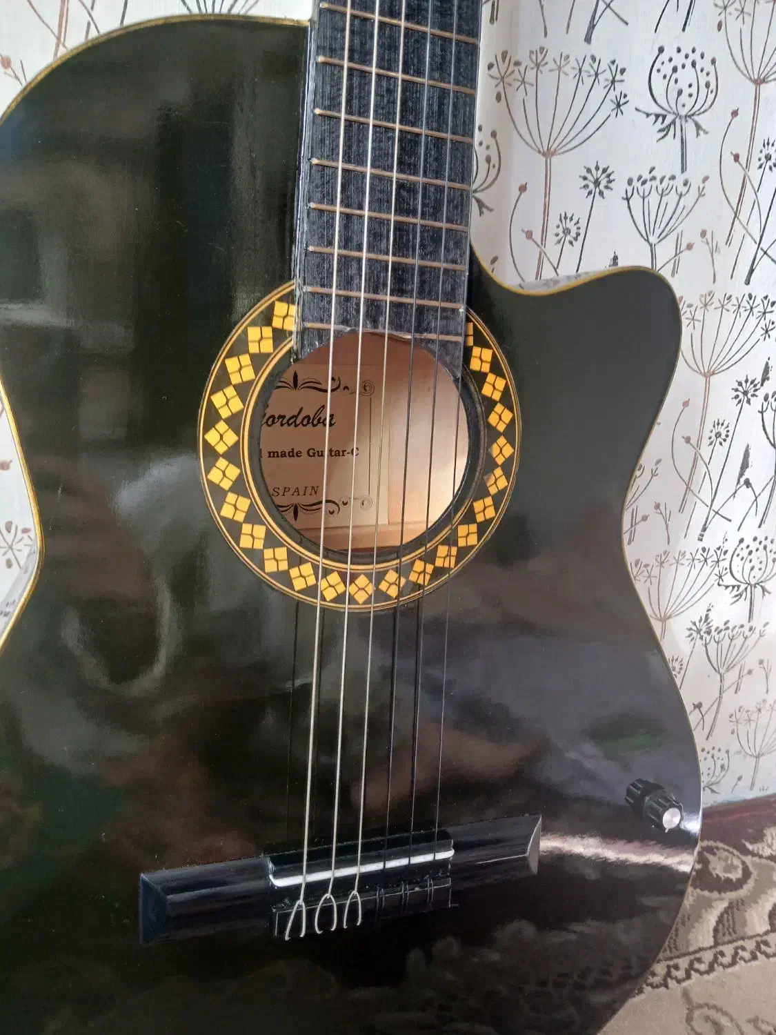 گیتار سیاه نوع|گیتار، بیس، امپلیفایر|آستارا, |دیوار