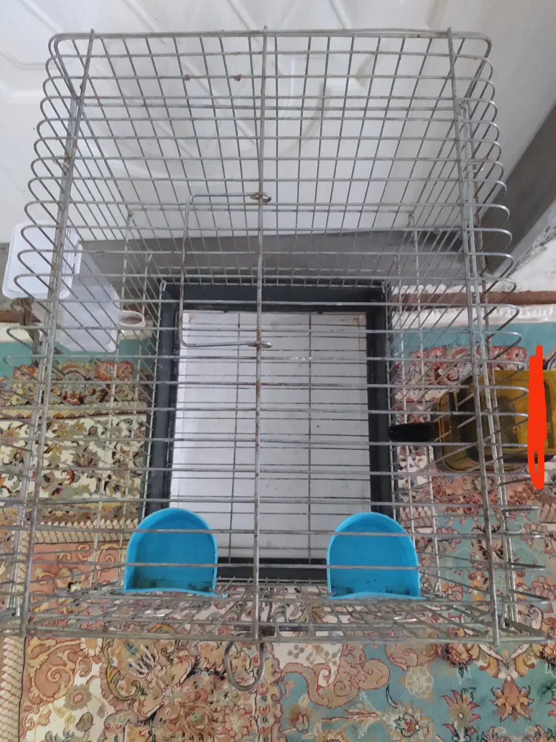 قفس پرنده فروشی قیمت. 500|لوازم جانبی حیوانات|بهشهر, |دیوار