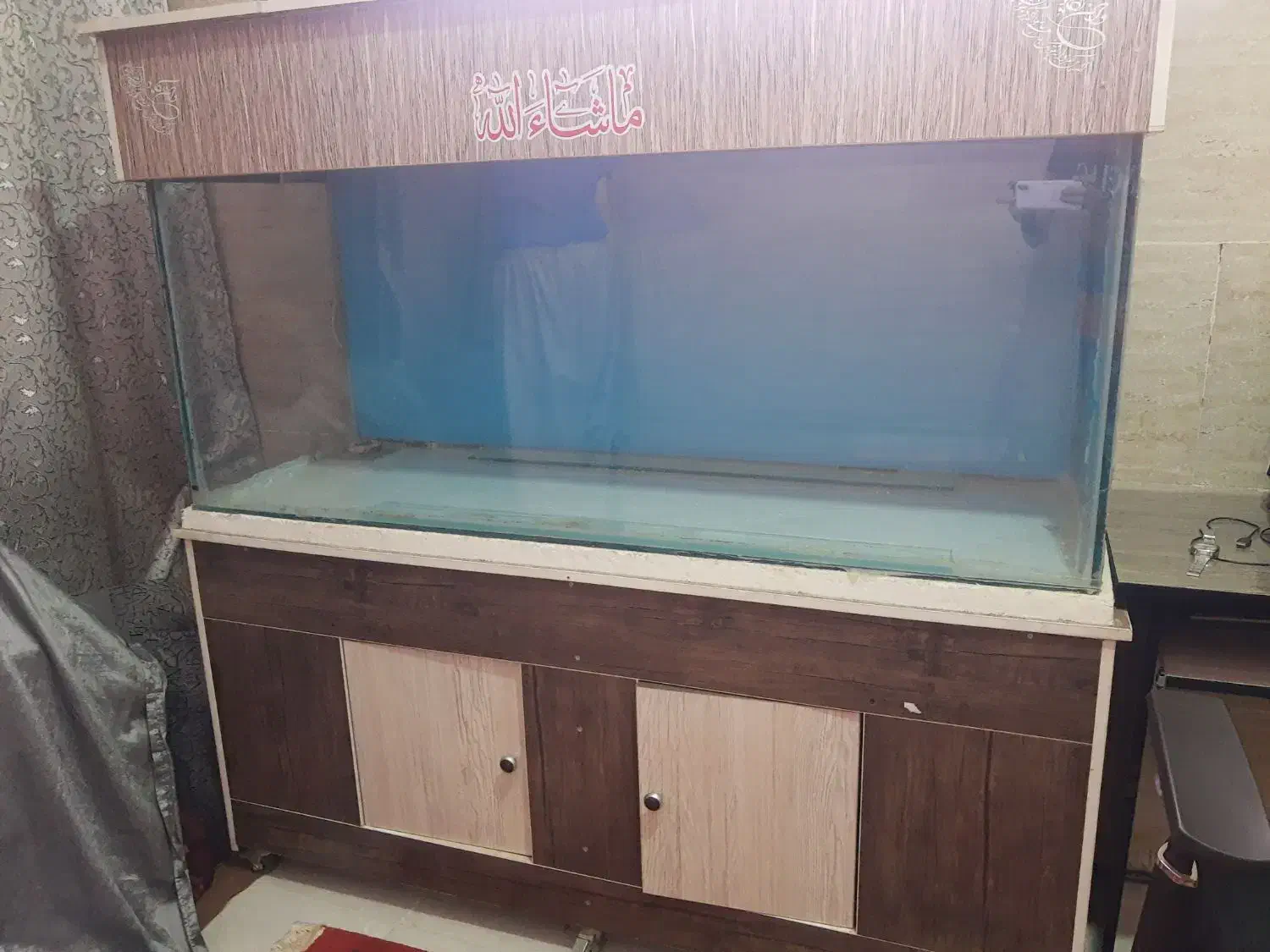 اکواریوم|ماهی|زاهدان, |دیوار