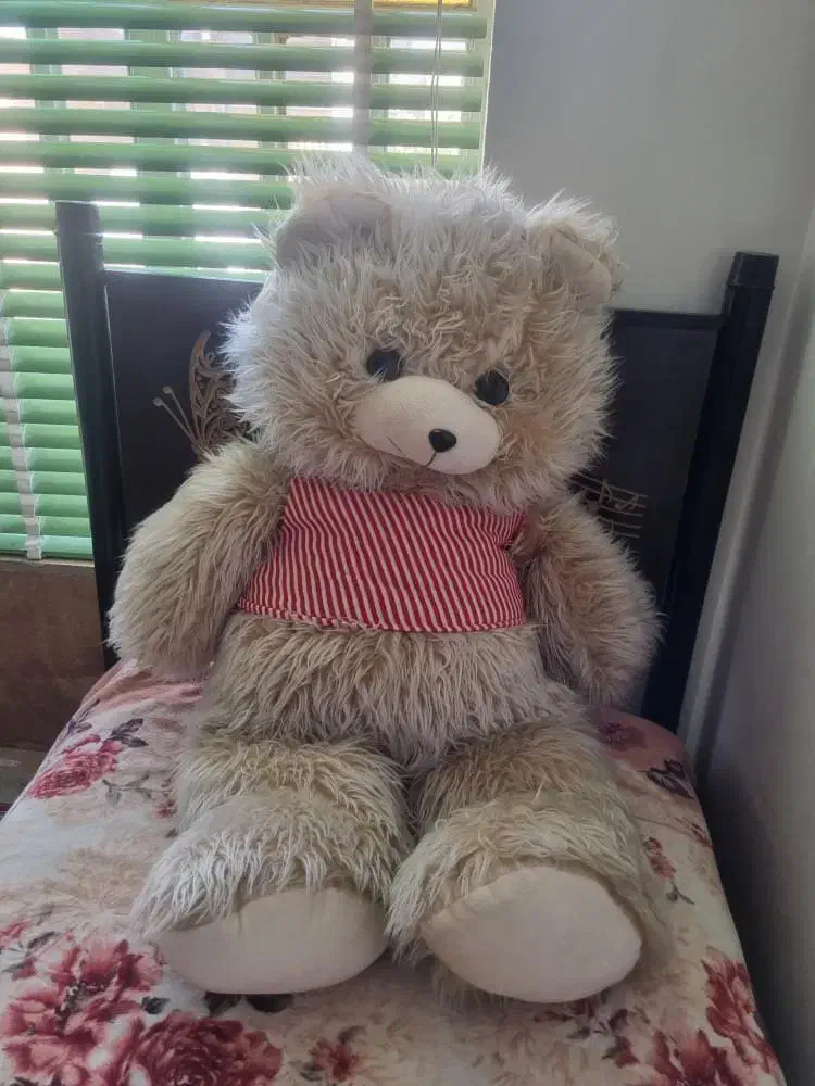 خرس خزدار|اسباببازی بچه|مرودشت, کناره|دیوار