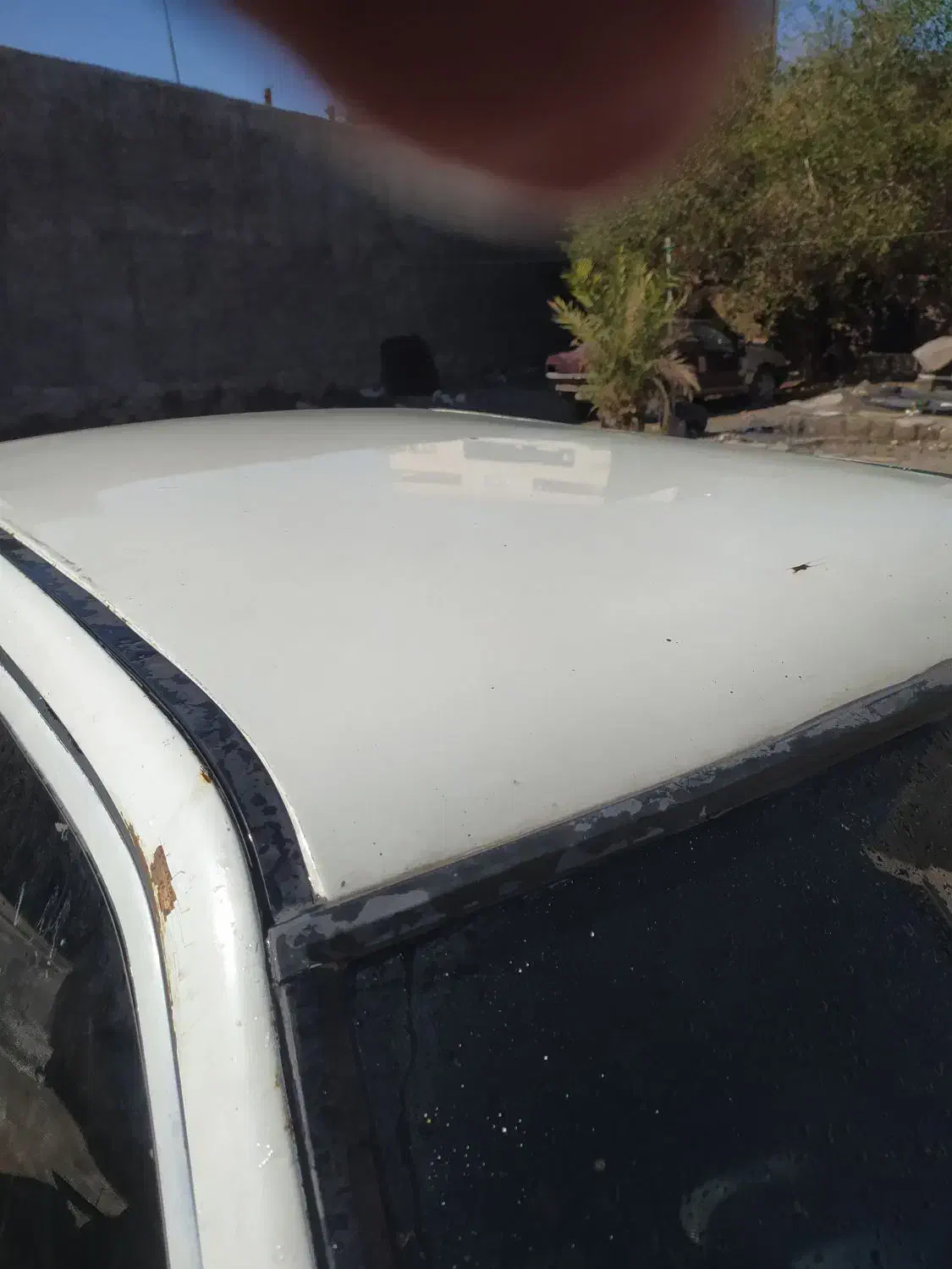 پراید ۸۳|خودرو سواری و وانت|جیرفت, |دیوار