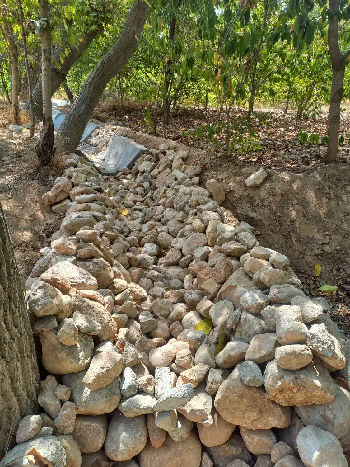 بنا ، آجر نما ، سنگ کاری|خدمات پیشه و مهارت|بجنورد, |دیوار