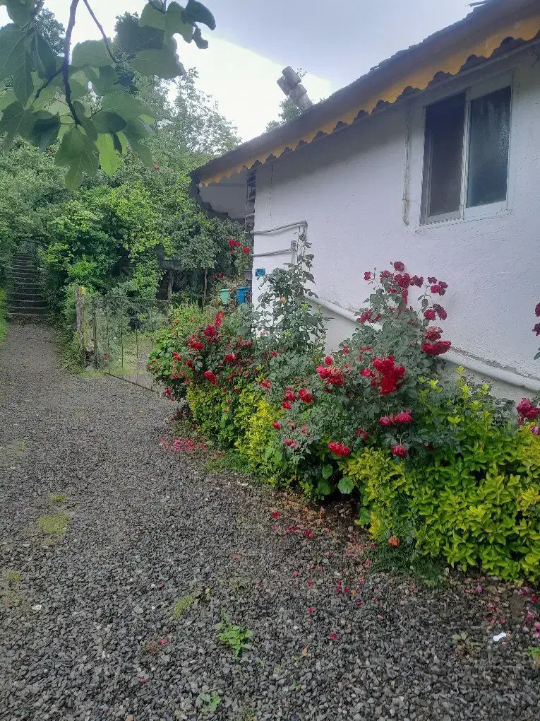 فروش ویلای قدیمی|فروش خانه و ویلا|واجارگاه, |دیوار