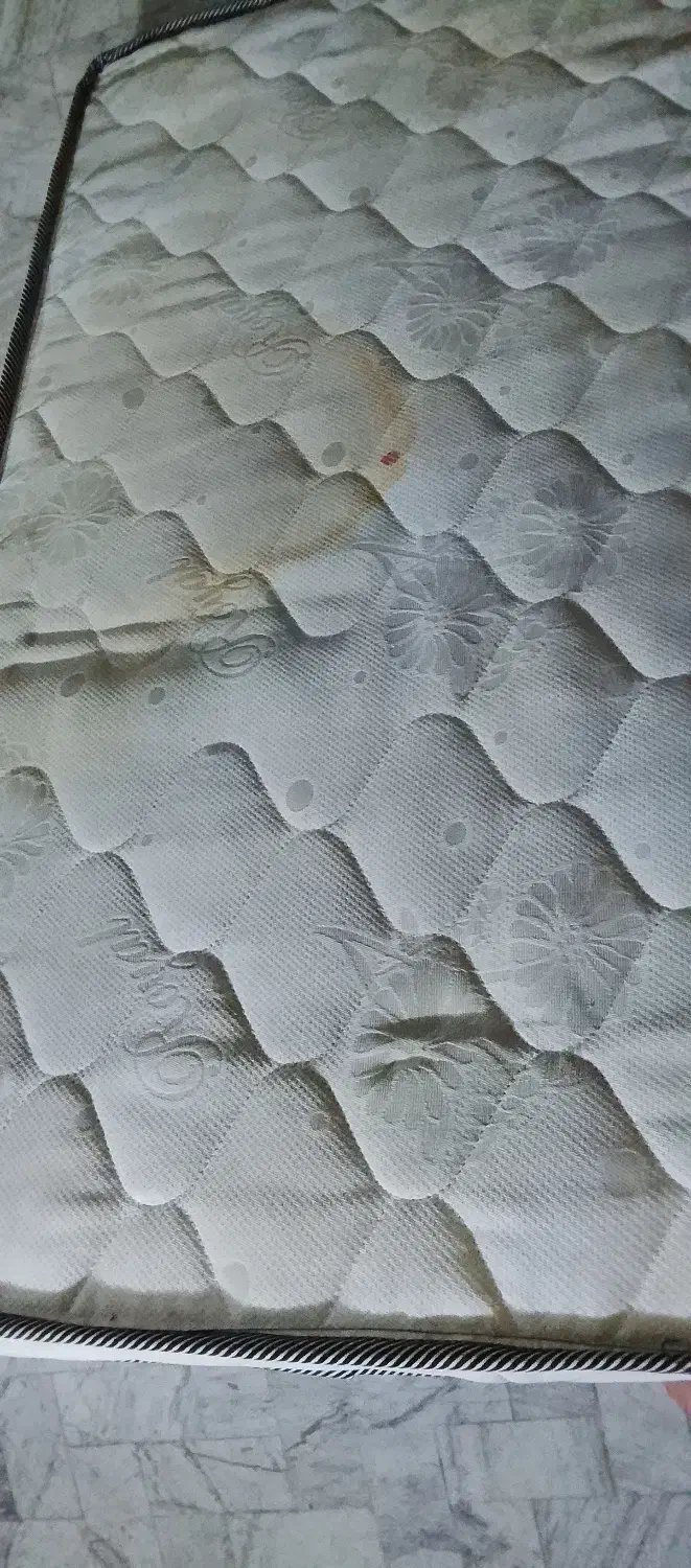 تشک رویال|تشک تختخواب|قم, سالاریه|دیوار