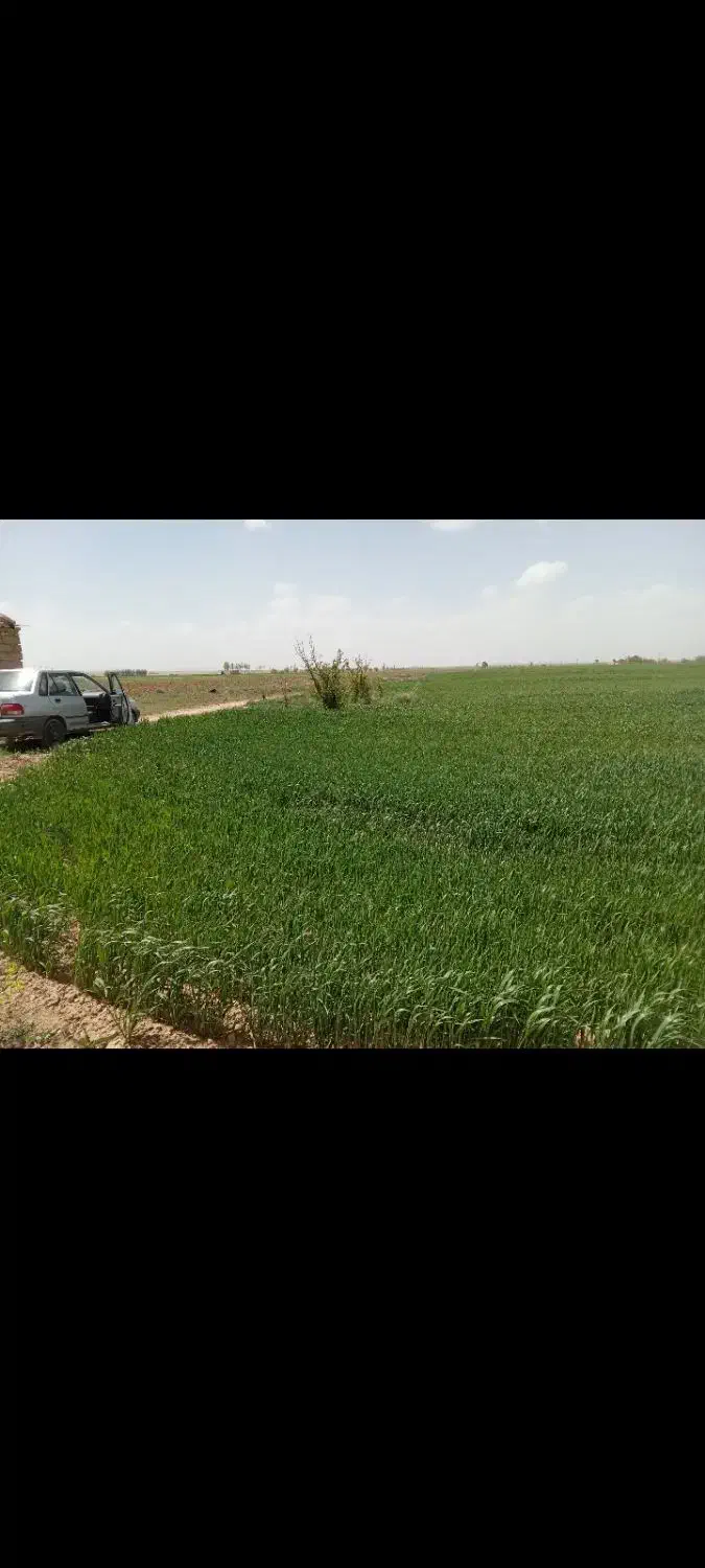 اجاره زمین کشاورزی|فروش دفتر صنعتی، کشاورزی، تجاری|همدان, |دیوار