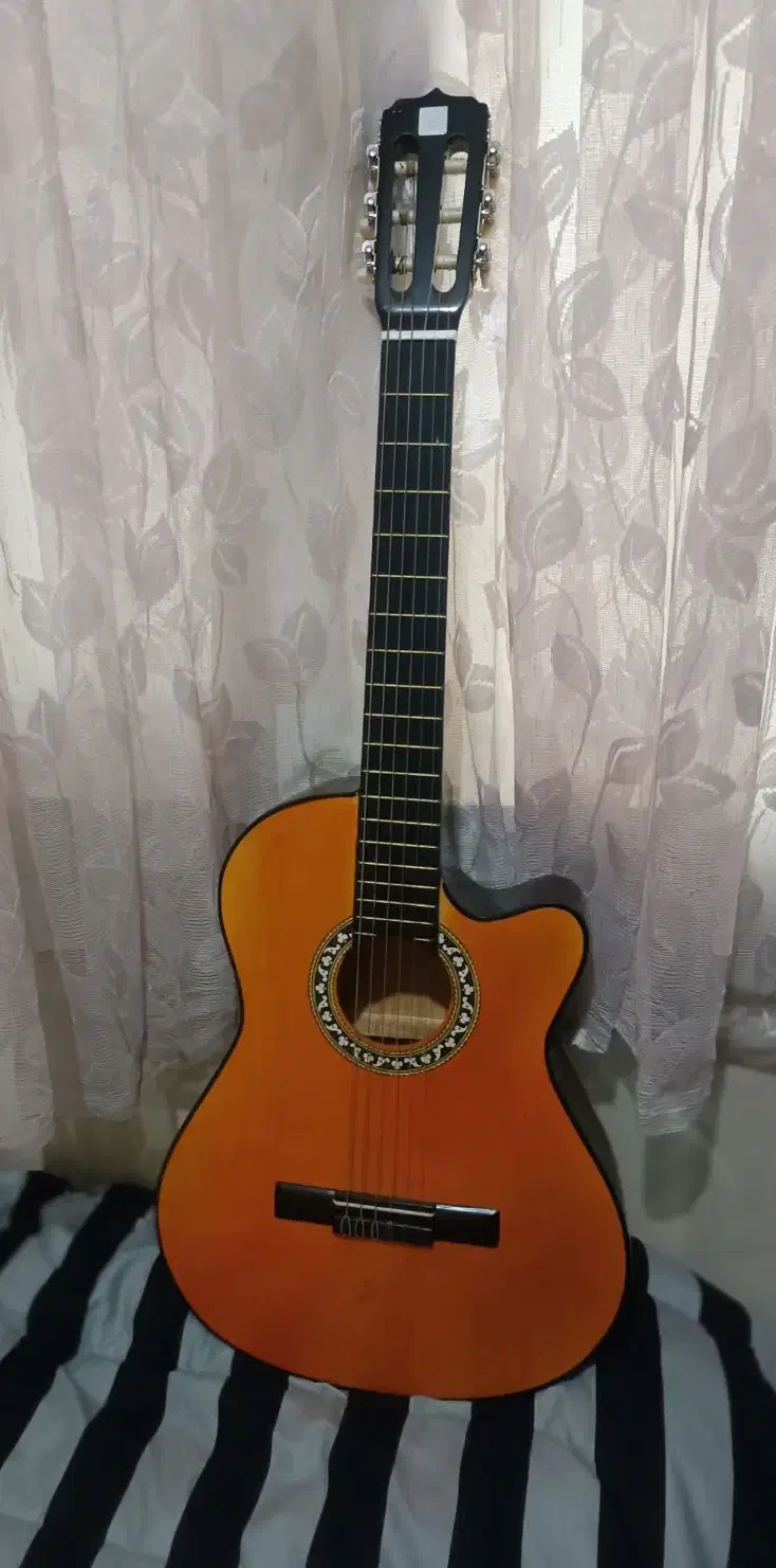 گیتار نو|گیتار، بیس، امپلیفایر|پرند, فاز ۵|دیوار