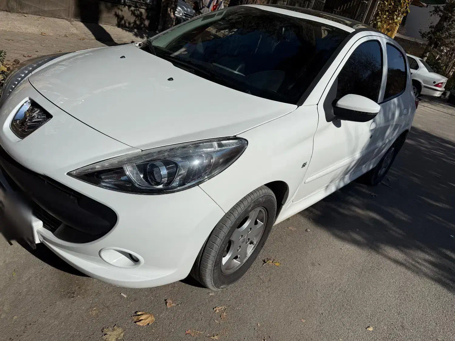 207 پانا مدل1403|خودرو سواری و وانت|لنجان, |دیوار