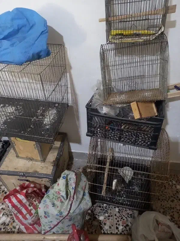 قفس وتور|لوازم جانبی حیوانات|ایلام, |دیوار