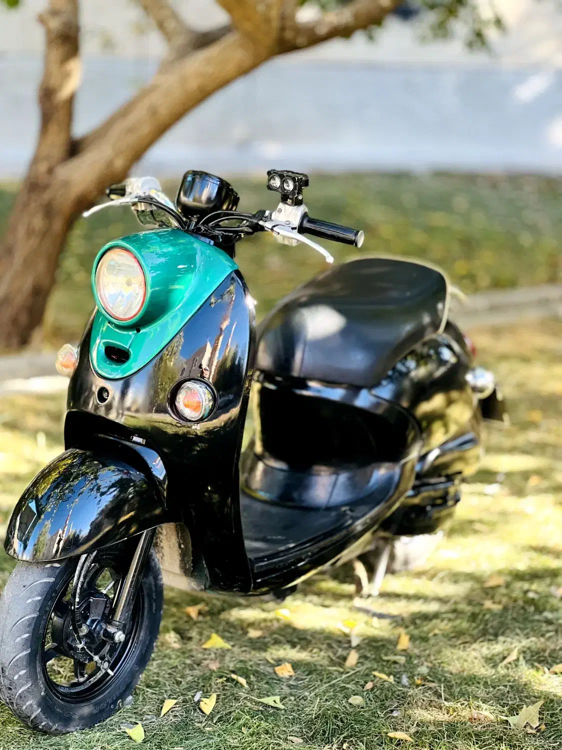 موتور پاکشتی یاماها وینو|موتورسیکلت|پیرانشهر, |دیوار