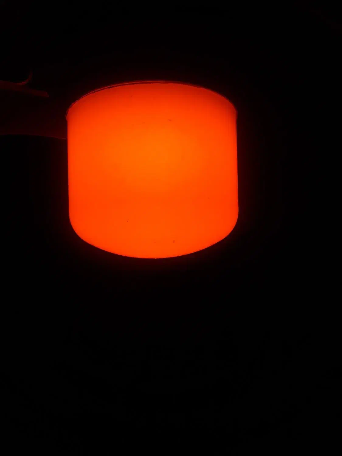 لامپ رشد گیاه|لامپ و چراغ|مشهد, رستگار|دیوار