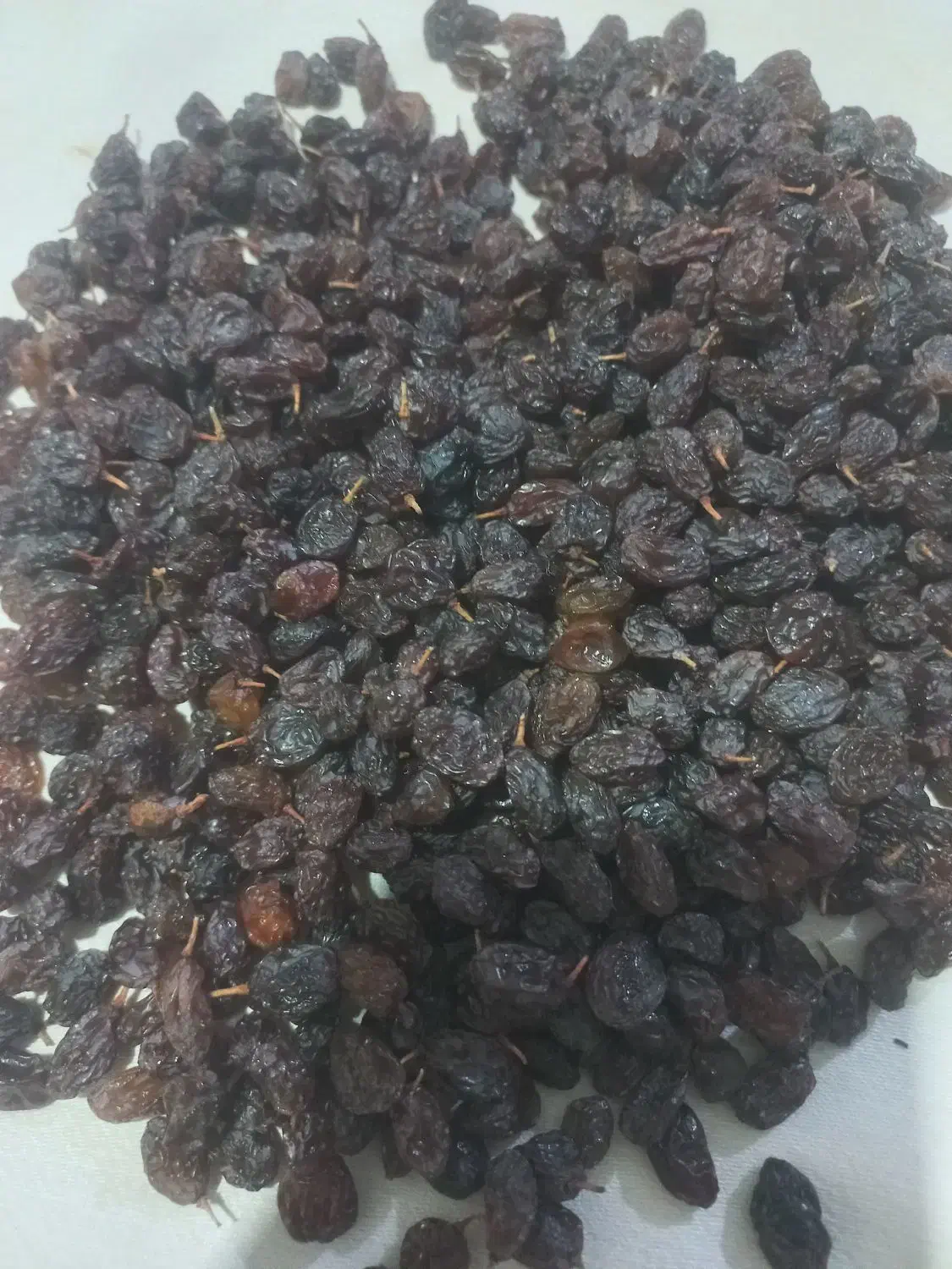 ۵۰۰کیلو کشمش درجه یک|خوردنی و آشامیدنی|میاندوآب, |دیوار