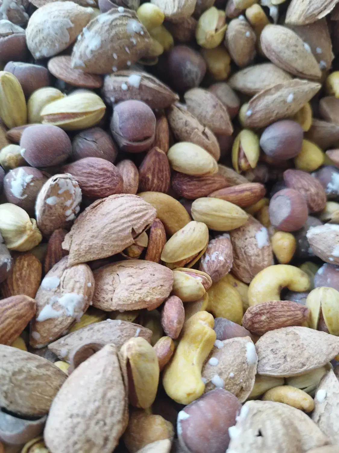 فروش انواع آجیل|خوردنی و آشامیدنی|لنگرود, |دیوار