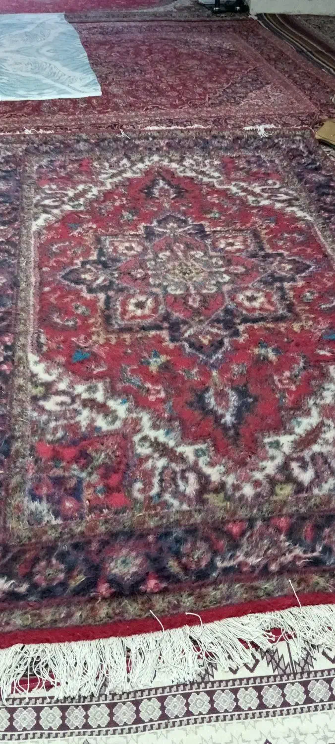 فروش فرش دستباف|فرش|بناب, |دیوار