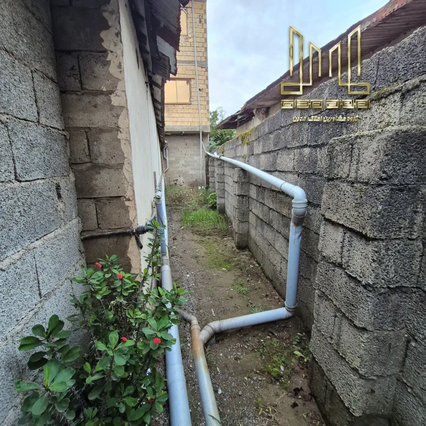 خانه بازسازی‌شده بزرگ با قابلیت تجاری در مرکز شهر|فروش خانه و ویلا|کیاشهر, |دیوار