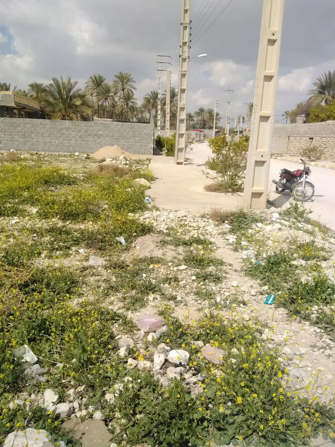 زمین مسکونی|فروش زمین و ملک کلنگی|بوشکان, |دیوار