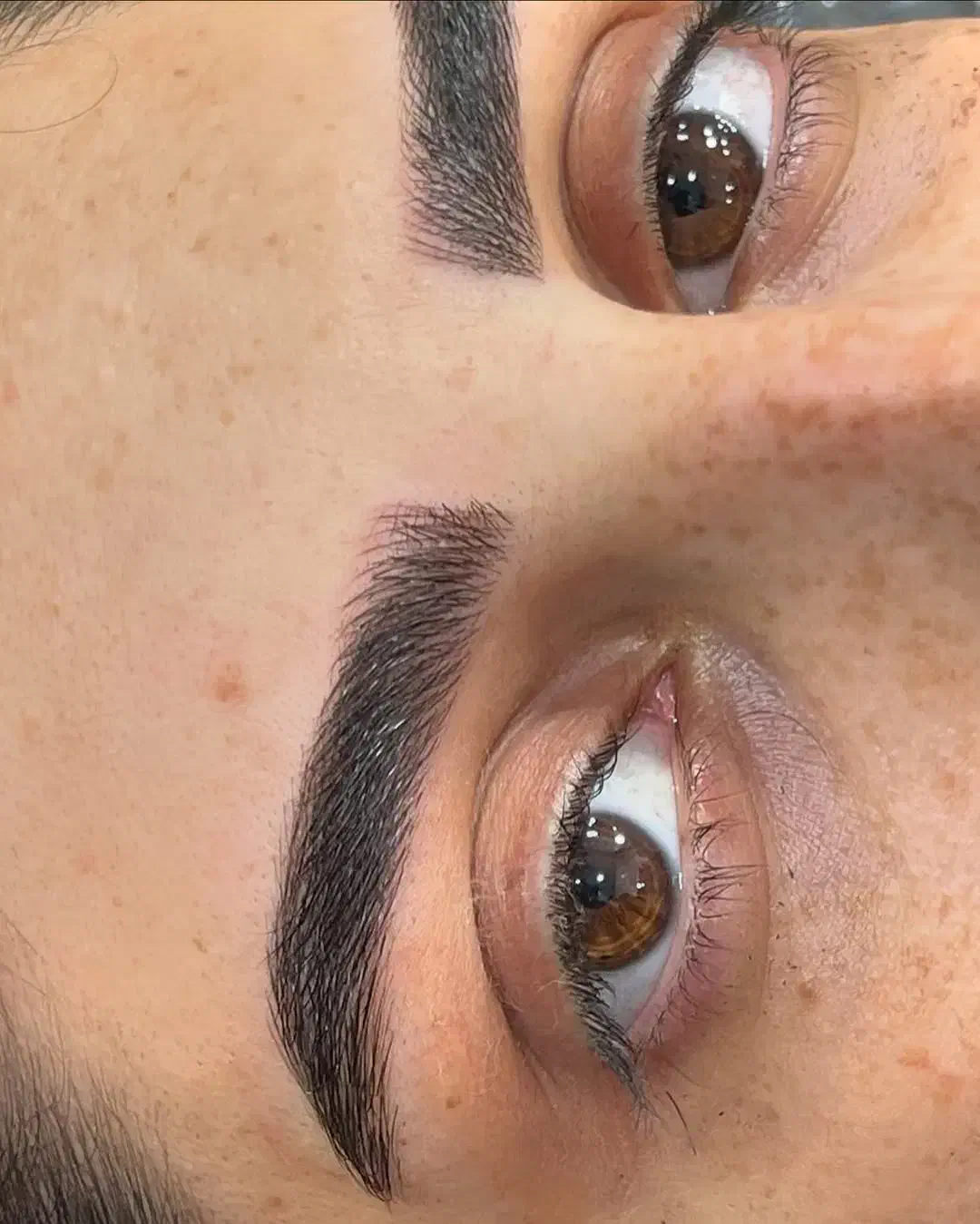 مدل رایگان میکرو و شیدینگ|خدمات آرایشگری و زیبایی|کاشان, دانش|دیوار