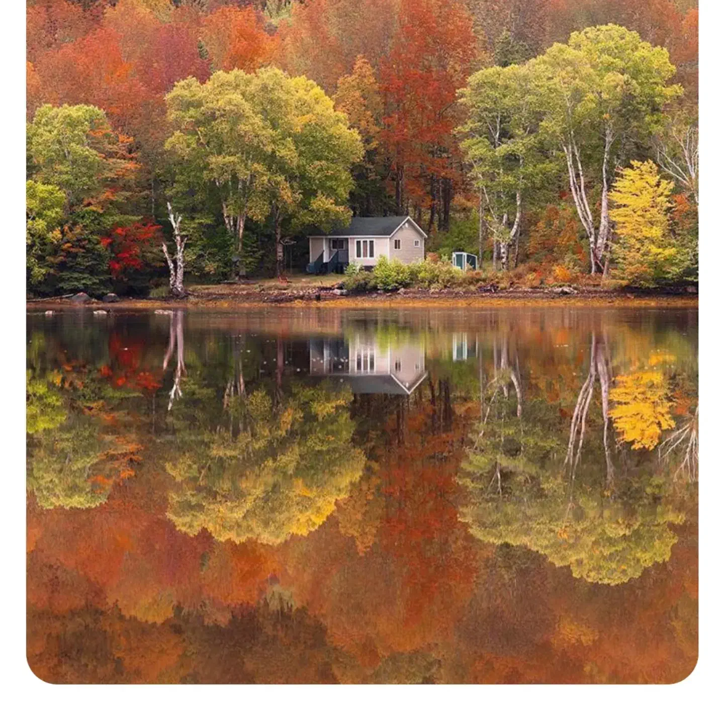 به یک هم خونه نیازمندم|اجارهٔ کوتاهمدت آپارتمان و سوئیت|شیراز, شهرک بهار|دیوار