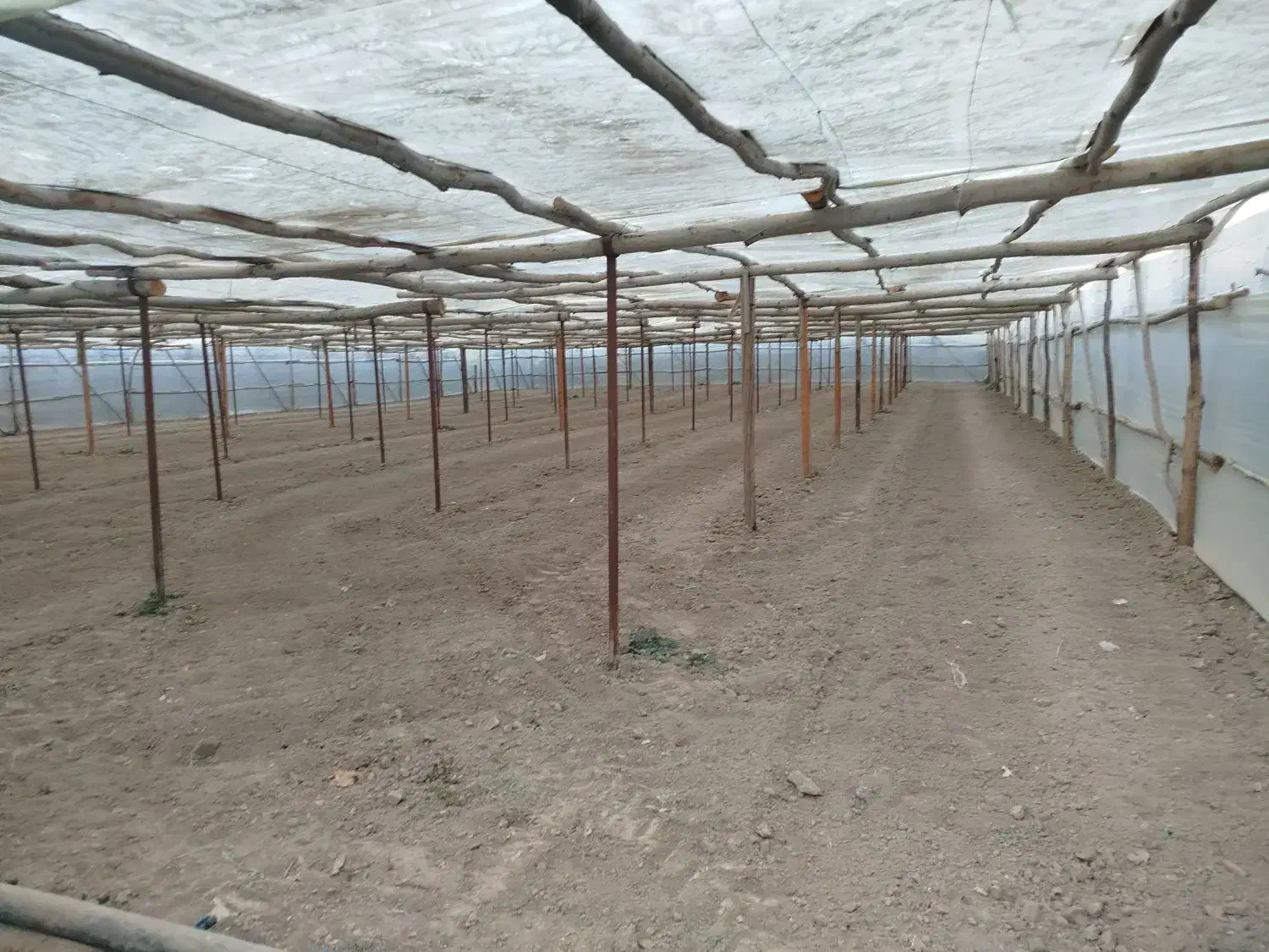 سازه گلخانه چوبی|خدمات باغبانی و درختکاری|فلاورجان, |دیوار