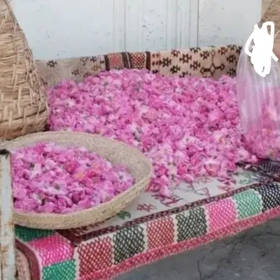 علی بابا|کارت هدیه و تخفیف|بوشهر, |دیوار
