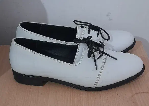 کفش|کیف، کفش، کمربند|تبریز, |دیوار