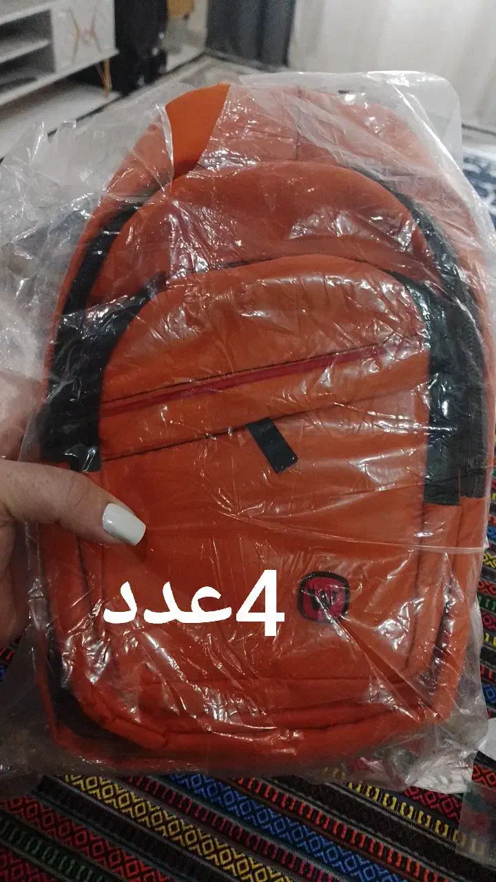 کیف|کیف، کفش، کمربند|نسیم‌شهر, |دیوار