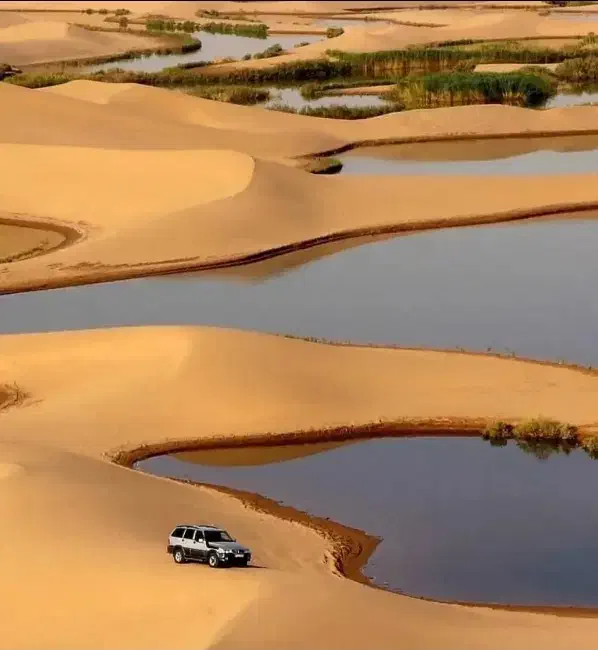 کویرگردی یزد|تور و چارتر|یزد, |دیوار