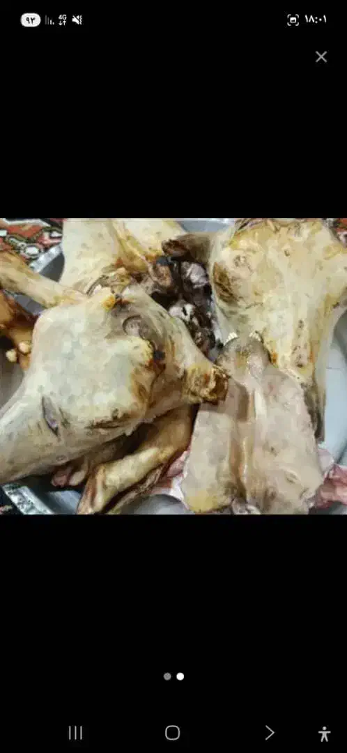 کله پاچه|خوردنی و آشامیدنی|نورآباد ممسنی, |دیوار