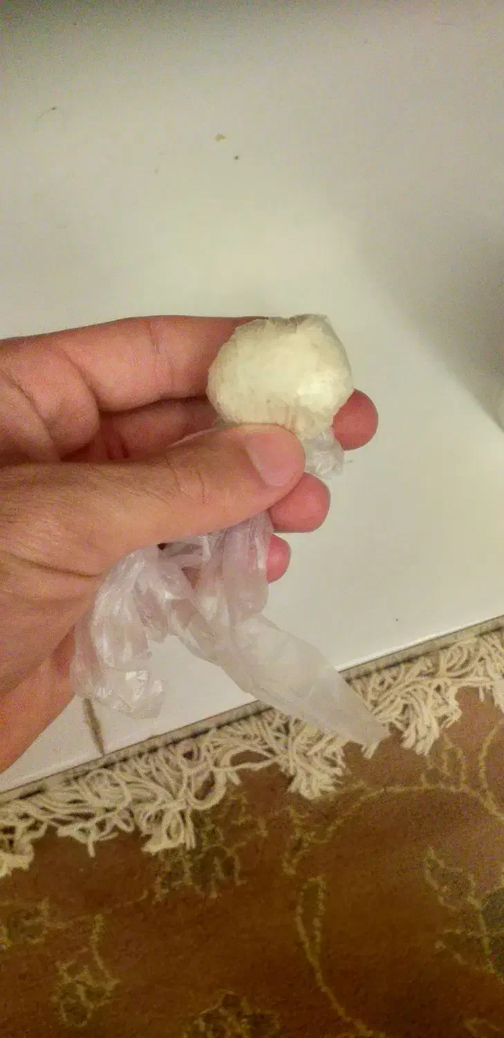 گیاه دارویی برای بچه پسر شرطی|گل و گیاه طبیعی|شوشتر, |دیوار