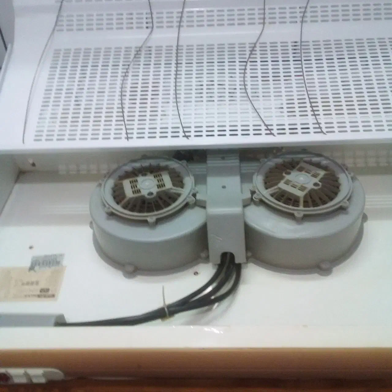 هود|هود|قم, کلهری|دیوار