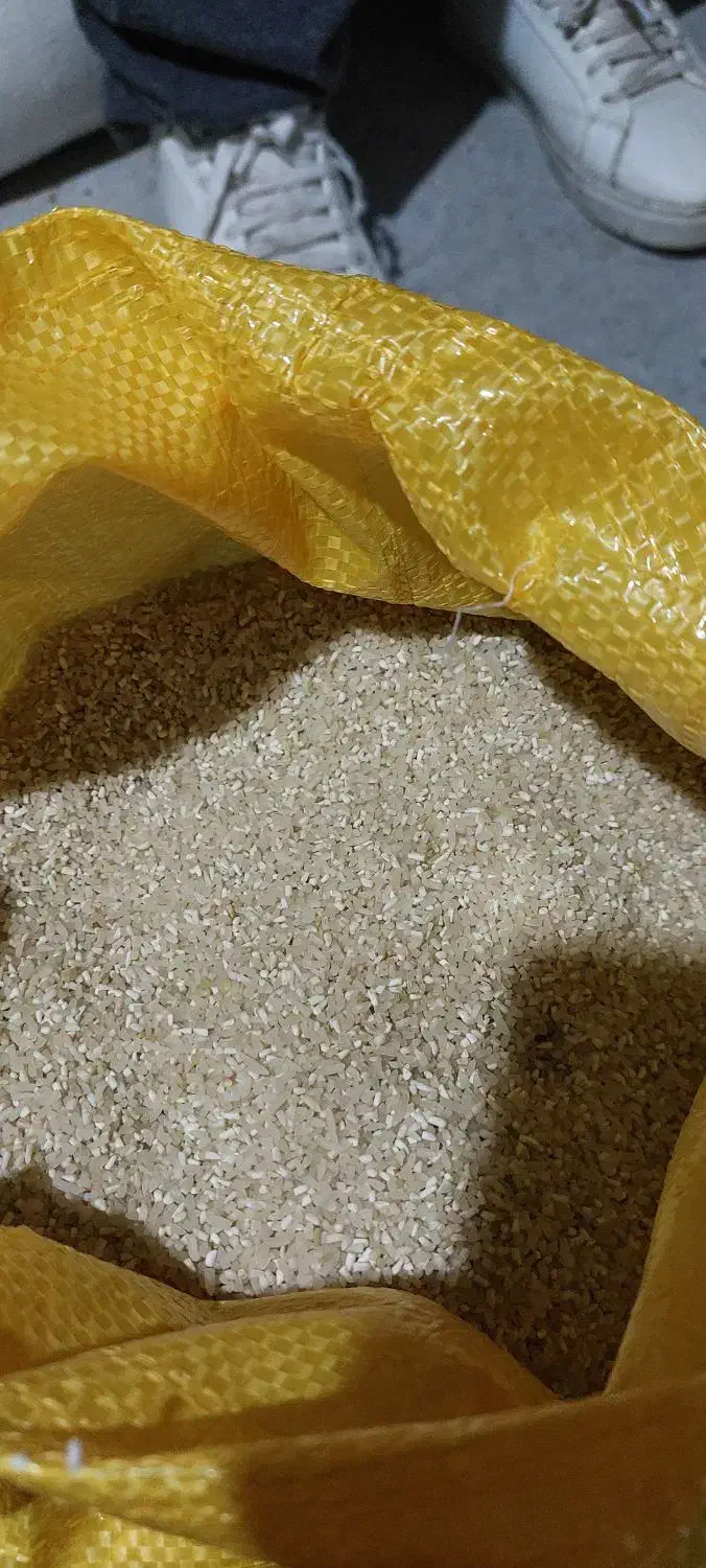 فروش برنج|خوردنی و آشامیدنی|کلاله, |دیوار