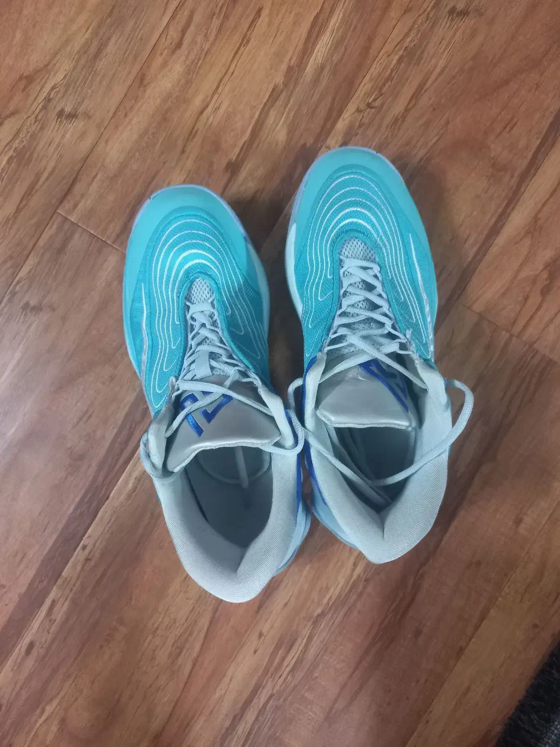 فروش کفش والیبال|کیف، کفش، کمربند|سمنان, |دیوار